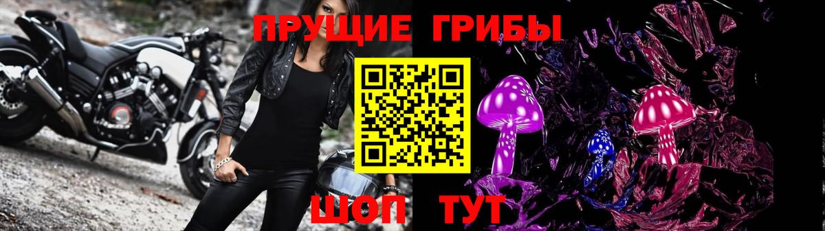 Владивосток  Галлюциногенные грибы Cubensis  наркошоп  Вход с VPN 